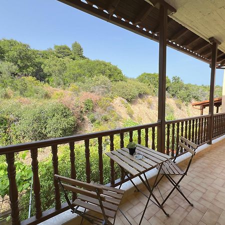 Viva Properties Ouranoupoli Esterno foto